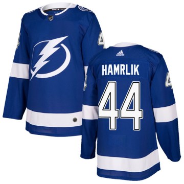 Adidas Tampa Bay Lightning Men's Roman Hamrlik Authentic Blue Home NHL Jersey